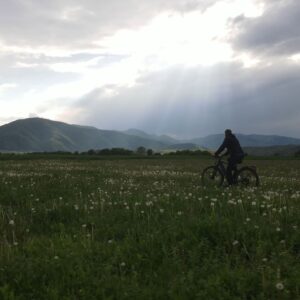 Vorführung "Die vergessenen Seiten des Lernens"
